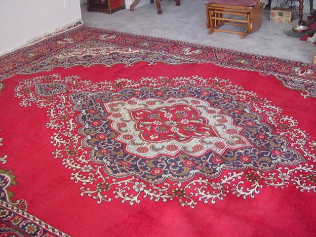 Tabriz Persain Rug  10x13.JPG